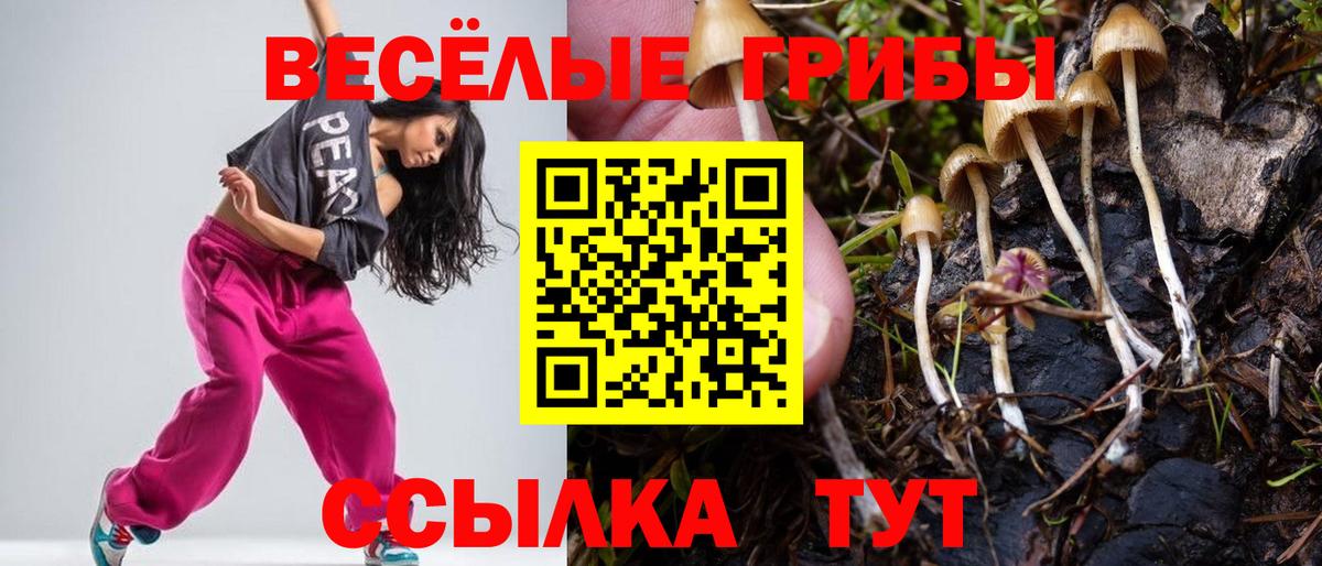 Псилоцибиновые грибы GOLDEN TEACHER  Вход с VPN  Кыштым 